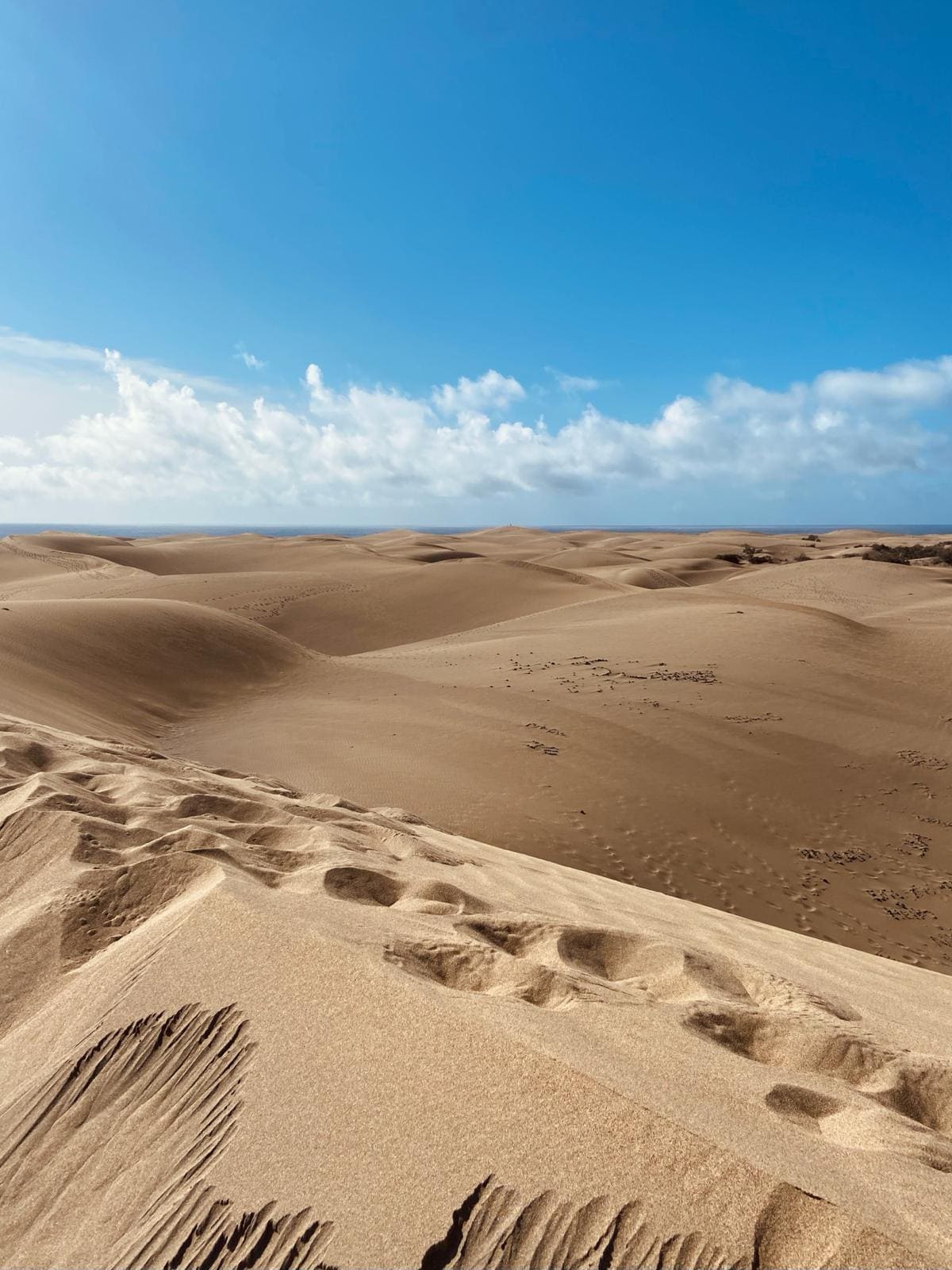 dune di maspalomas cosa sono